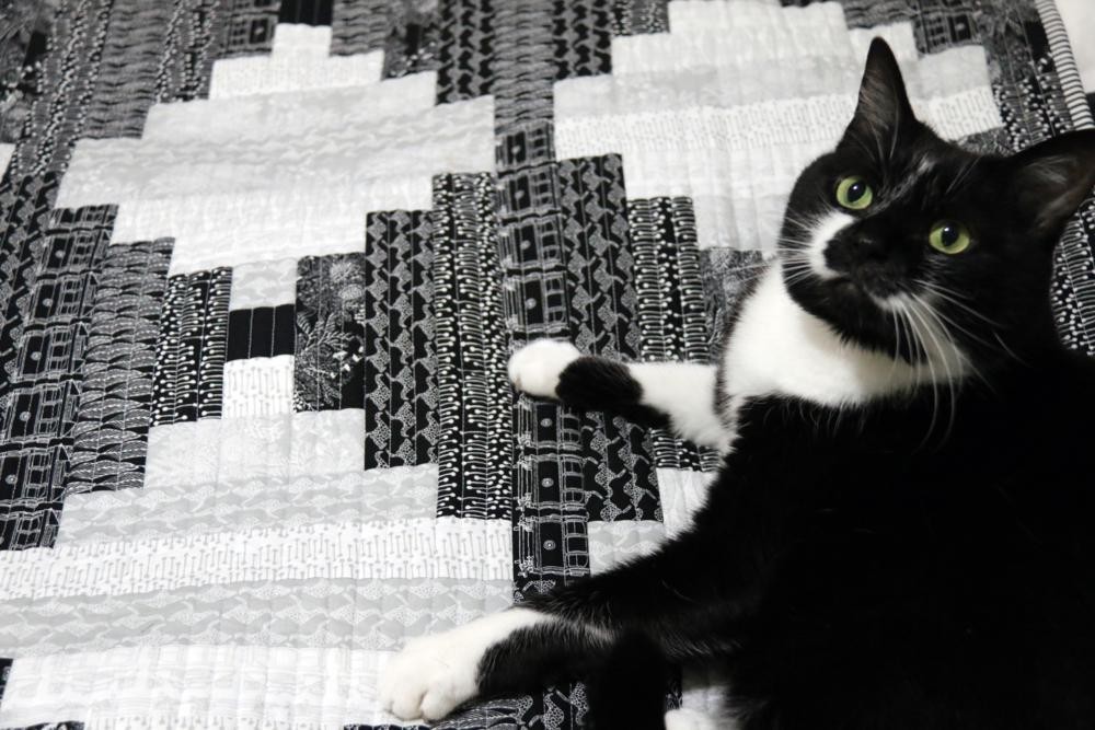 Buffy's Blocks Quilt by Emma Jean Jansen