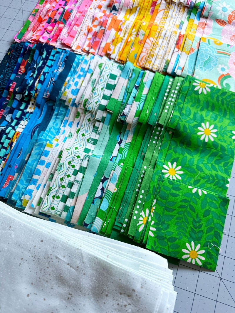 Round Trip Quilt Pattern by Emma Jean Jansen