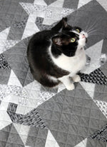 Load image into Gallery viewer, Willow&#39;s Way Quilt Pattern - PDF
