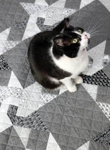 Willow's Way Quilt Pattern - PDF