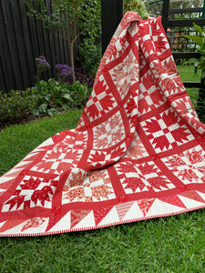 Bear's Paw Quilt Pattern - PDF